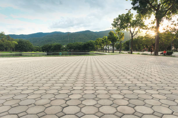 Paver Driveway Replacement in Ford Heights, IL